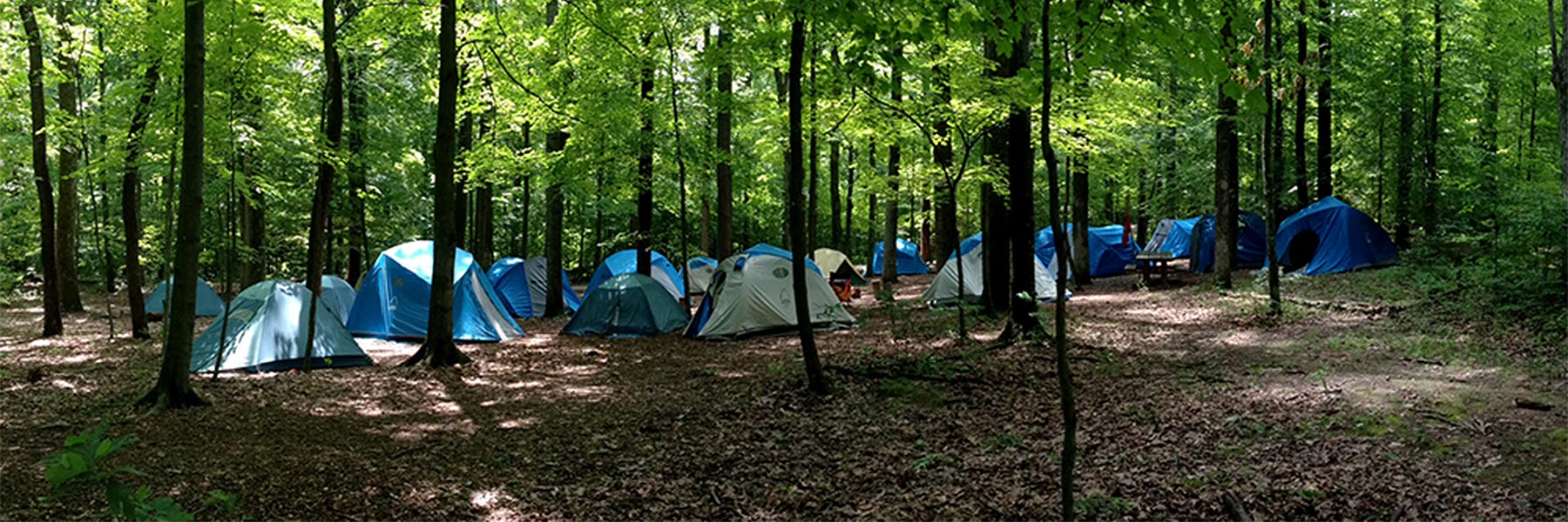 Camping in the woods